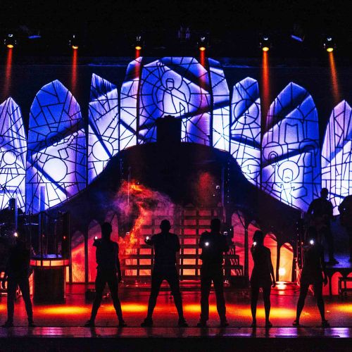 x luces Freddie
