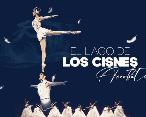 WhatsApp Image 2025-12-10 at 11.47.32 WhatsApp Image 2025-12-10 at 11.47.32